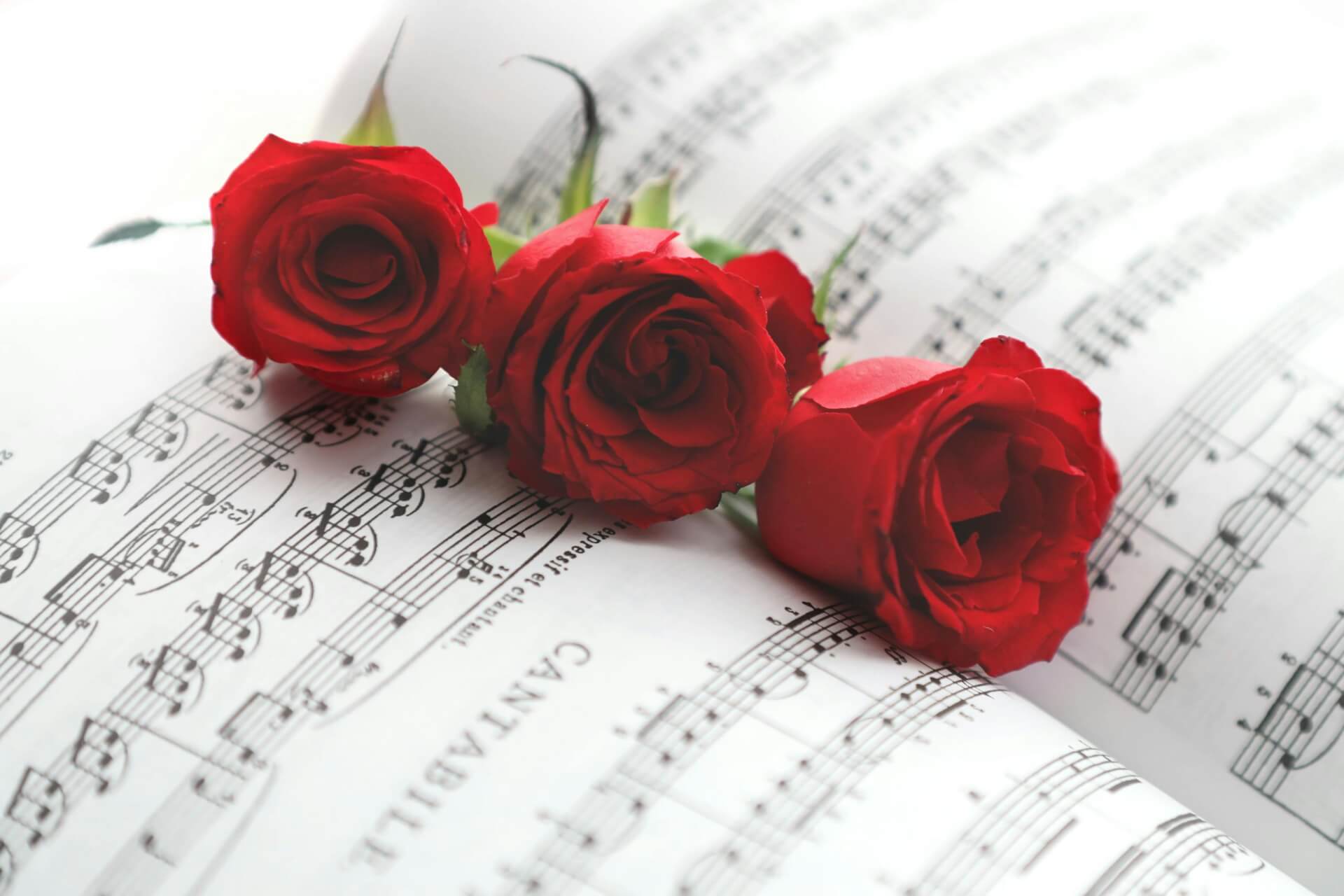Red roses placed on sheet music, creating a romantic and artistic scene.